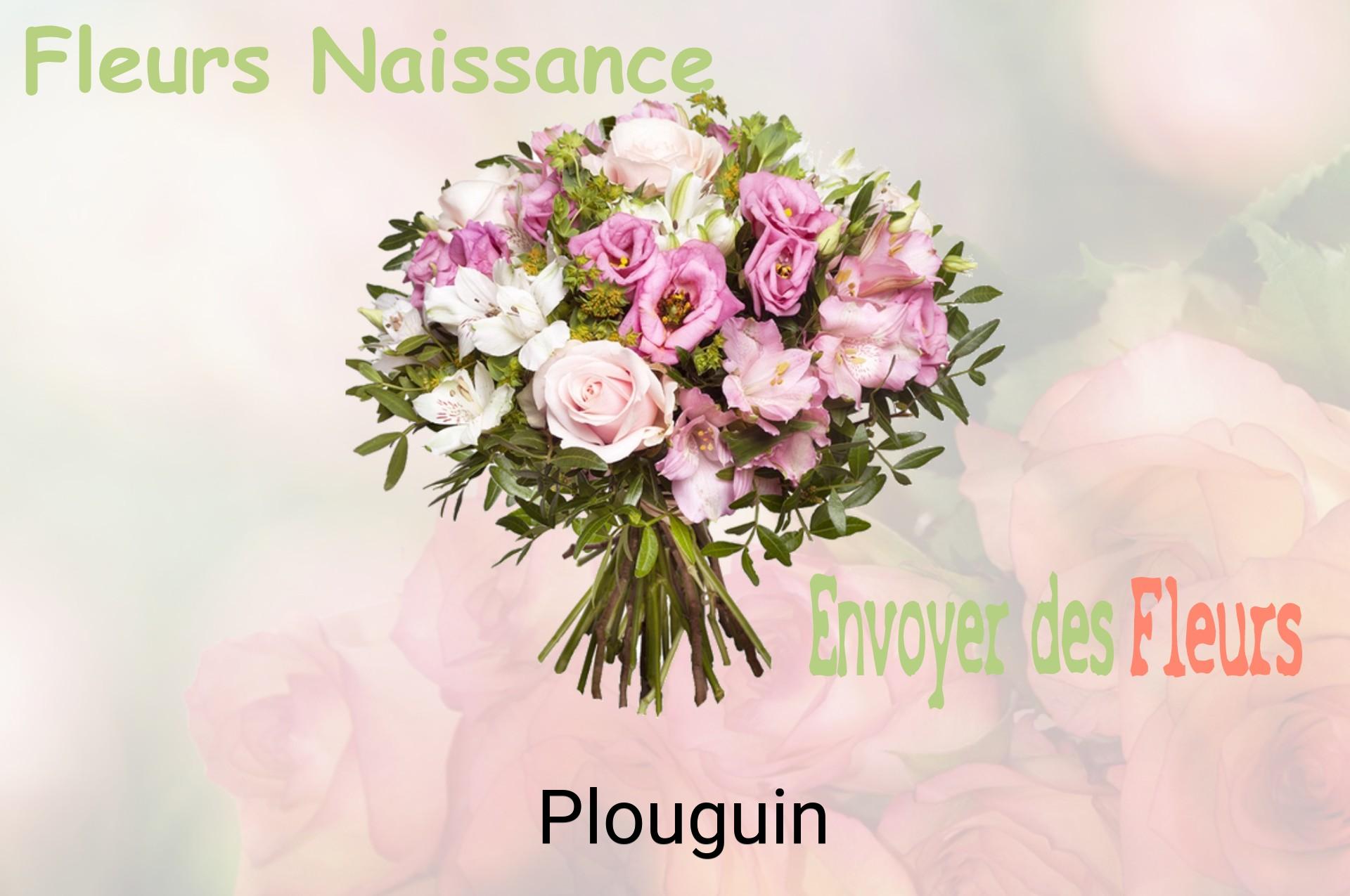 Bouquet de fleurs de naissance livré à Plouguin